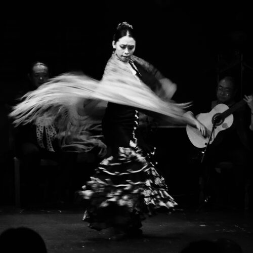 2026年2月のフラメンコ公演予定はコチラ